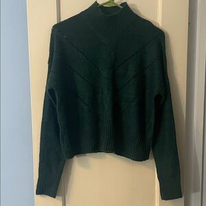 Moral Fiber Dark Green Turtleneck Sweater